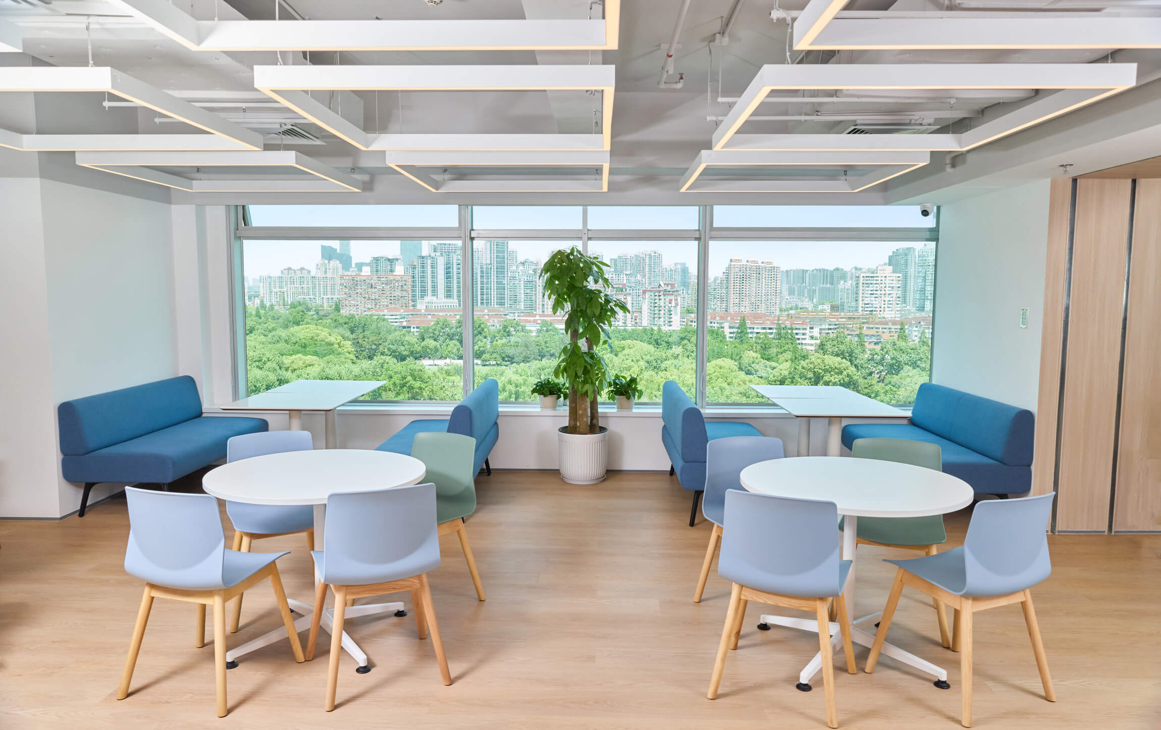 辦公室照(zhào)片5